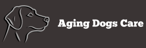 aging dogs care logo color 3A3434